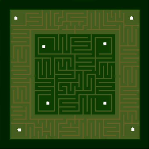 ( 8) Maze T2V1